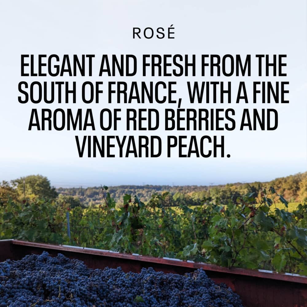 Kolonne Rose Tasting Notes