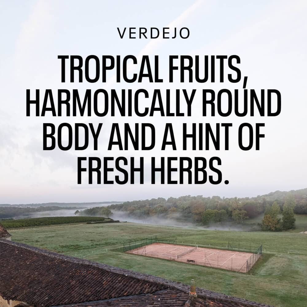 Best Non-Alcoholic Verdejo Tasting Notes