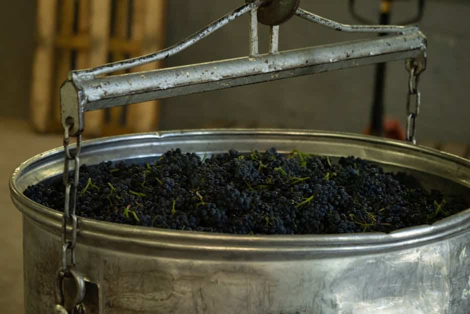 Grapes being turned into non-alcoholic wine