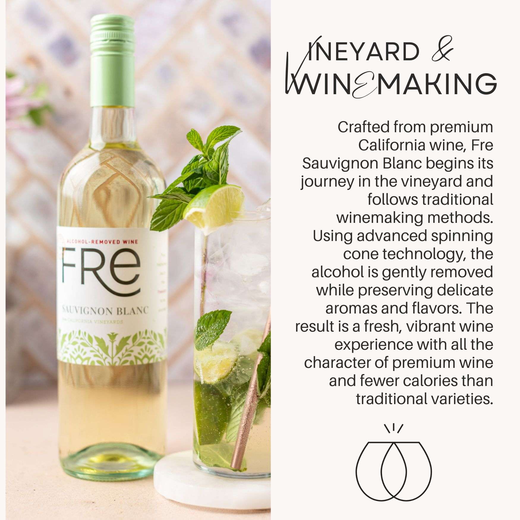 FRE Sauvignon Blanc Non-Alcoholic Wine – Vineyard & Winemaking Information Card