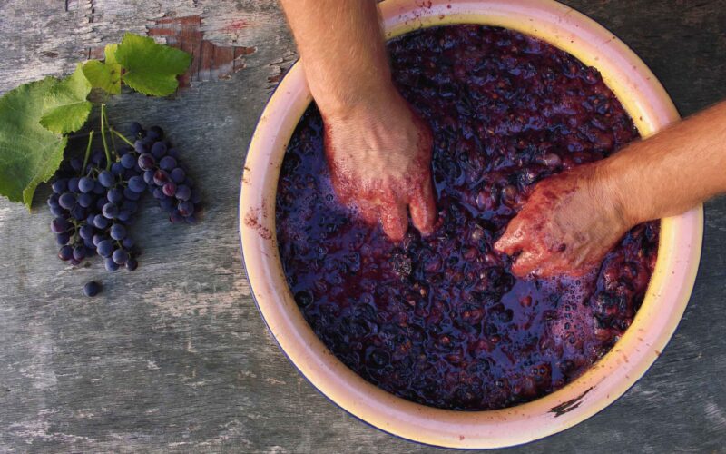 Dealcoholization: How 0.0% Wines Are Really Made