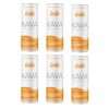 Leilo Tangerine Mango Kava Relaxation Drink 6 Pack – Non-Alcoholic Social Drink